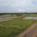 Vershina - Farm / Agriculture Land