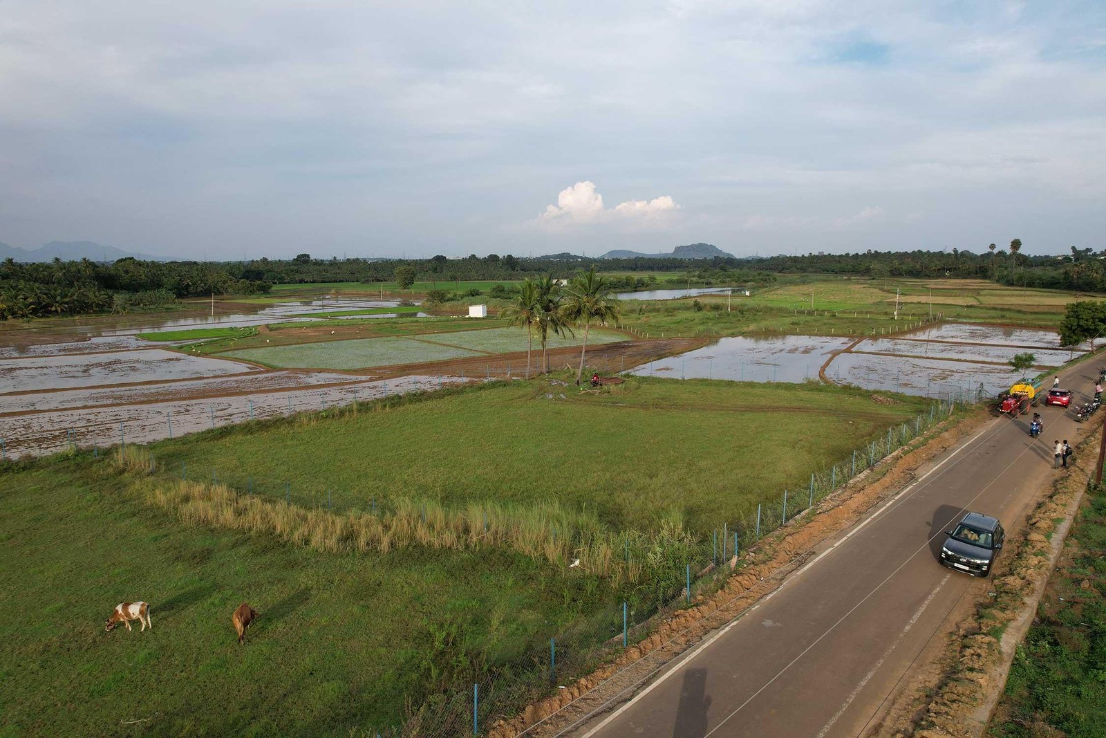 Vershina - Farm / Agriculture Land